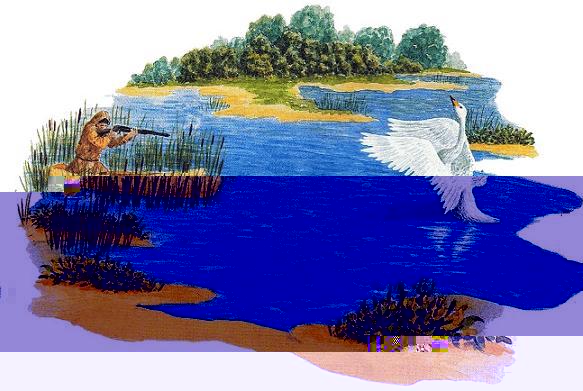 Сказки зверолова: Глаза и уши. Автор: Виталий Бианки