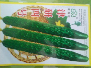 IMG_20130413_120441.jpg