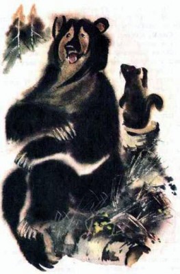 Сказки зверолова: Кузяр-Бурундук и Инойка-Медведь. Автор: Виталий Бианки