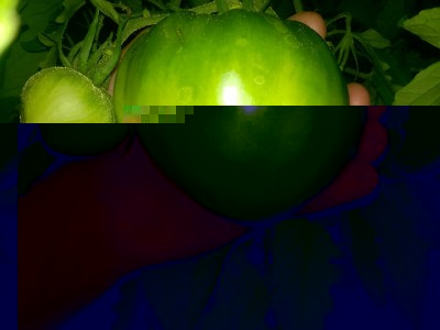 6HfI5D4CRao.jpg