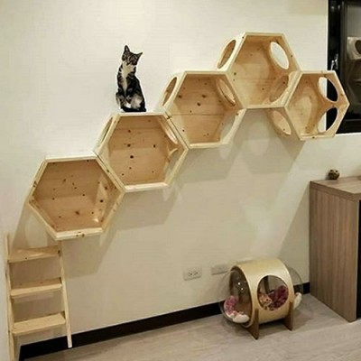 домики для котят