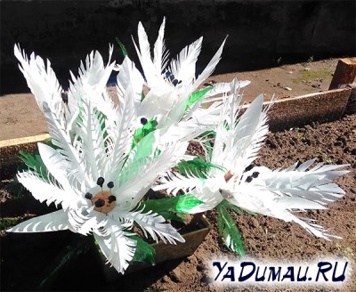 Цветы из пластиковых бутылок
