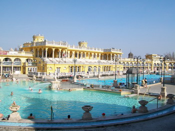 100_016011.jpg