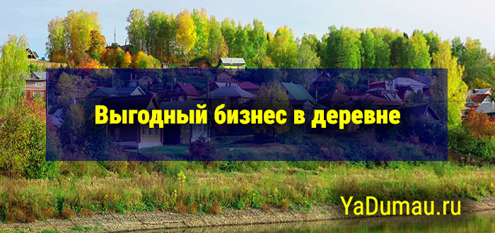 Выгодный бизнес в деревне