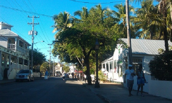 IMAG5356.jpg